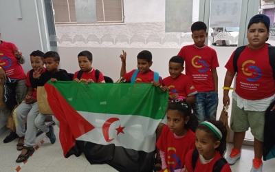 Els nens sahrauís que han vingut a Sabadell | cedida