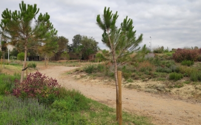 Un dels espais del Parc del Nord | Arxiu