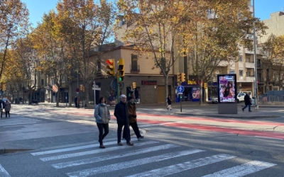 L'Ajuntament plantarà 300 arbres en vies transitades de Sabadell