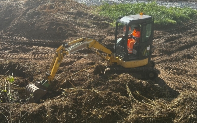 Retroexcavadora fent treballs d'extracció de la canya americana