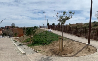 El Parc de les Aigües serà un pulmó verd de pràcticament 7.000 metres quadrats | Arxiu