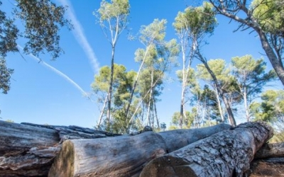 El Bosc de Can Deu