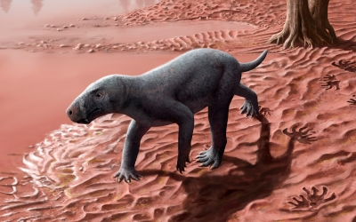 Recreació de l'aspencte en vida d'un gorgonopsi en una plana d'inundació | Harry Sutherland Sharpe 