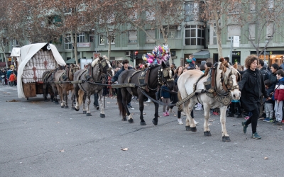 Un dels carruatges que participen a la passada de Sant Antoni | Roger Benet