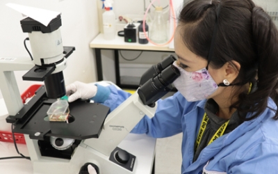 Investigadora de la UAB