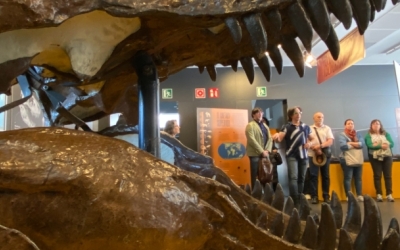 Exposició al Museu de l'Institut Català de Paleontologia Miquel Crusafont