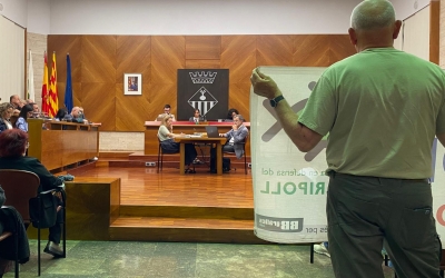 ple municipal