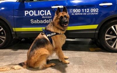 unitat canina