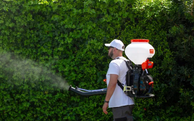 Un treballador de l'empresa Cazadores de Mosquitos | Cedida