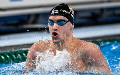 Carles Coll Singapur