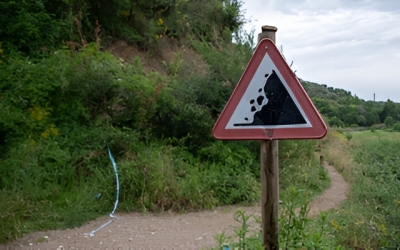 millores camins ripoll