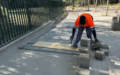 via aurelia