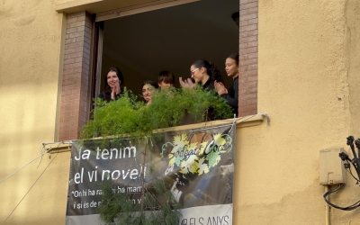 La branca de pi que simbolitza que ja ha arribat el vi novell ja és a la Bodega Coca | Marc Ortín