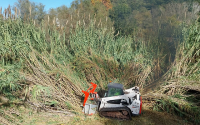 Les actuacions en la llera del Ripoll i la zona del riu Tort | Ajuntament de Sabadell