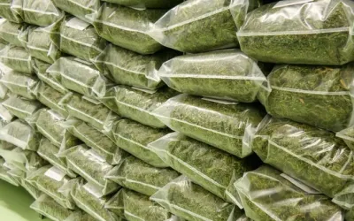 Marihuana en bosses de plàstic | Cedida