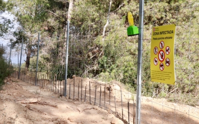 Els Agents Rurals han col·locat tanques als passos de fauna | ACN