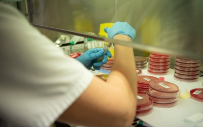 Una sanitària analitzant mostres al laboratori