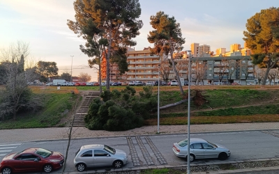 Cau un arbre de grans dimensions a l'avinguda Pablo Iglesias | Pere Gallifa (RàdioSabadell)