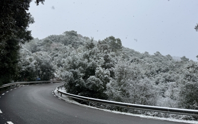 Nevada a la carretera d'accés al Parc de Sant Llorenç del Munt i l'Obac