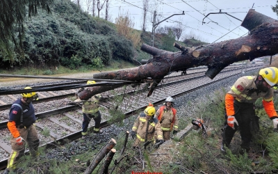 Els Bombers retirant l'arbre caigut a les vies