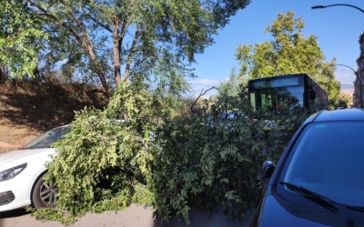 Una afectació per vent a Sabadell | Arxiu