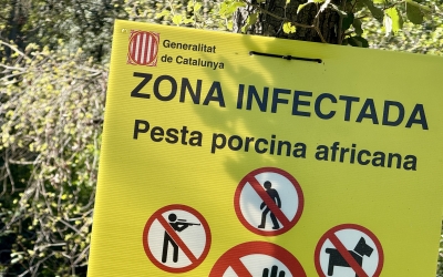 Cartell de restriccions de la Pesta Porcina Africana