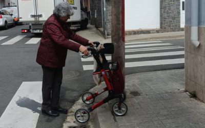 Un dels pals que dificulta la circulació | Cedida