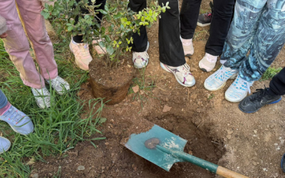 Un dels moments de la plantació | Mireia Sans