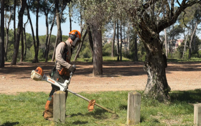 Un operari de CIPO fent tasques de desbrossa | Mireia Sans