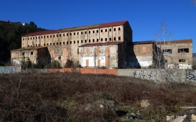 moli