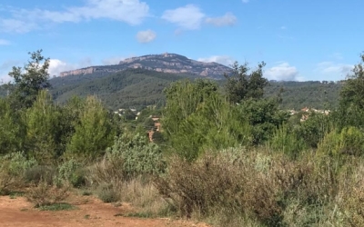 Risc màxim d'incendis al Vallès: restriccions d'accés a la zona de Sant Julià i al PN de Sant Llorenç | Adrián Arroyo