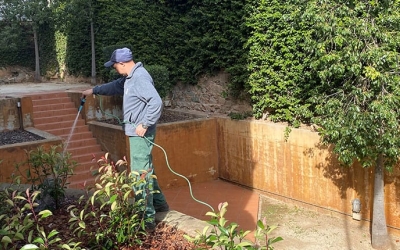 Treballs de jardineria de CIPO