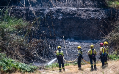 Efectius treballant en un incendi forestal | Arxiu