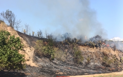 incendi
