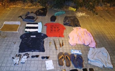 mossos