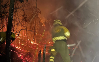 Diversos voluntaris de l'ADF actuant en un incendi | ADF Sabadell