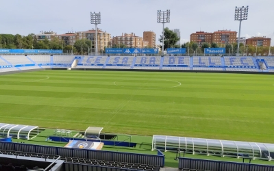 Aspecte de la nova gespa instal·lada a la Nova Creu Alta | Sergi Park