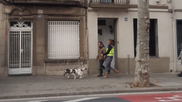 Agents de la unitat canina