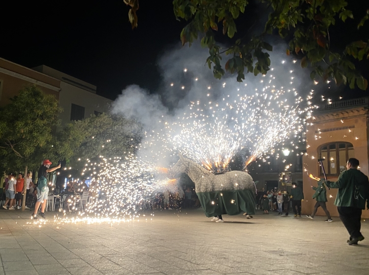 La Mulassa de Sabadell, al correfoc | Júlia Ramon