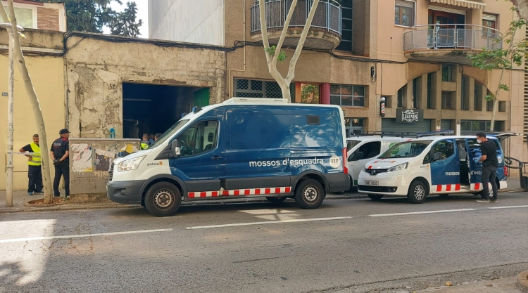 mossos