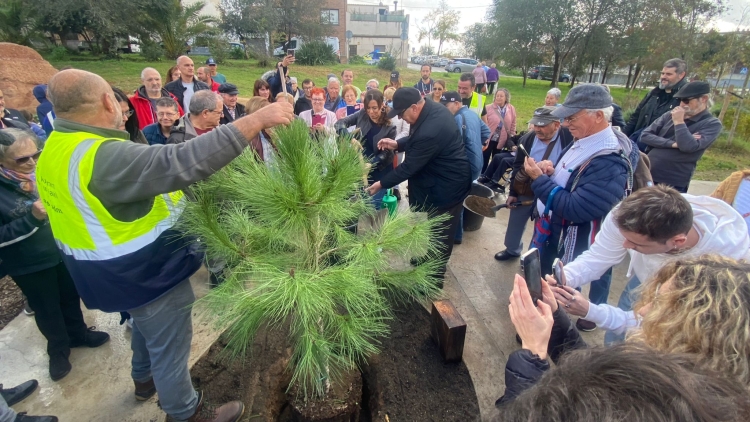 Plantada d'un arbre al Parc del Nord