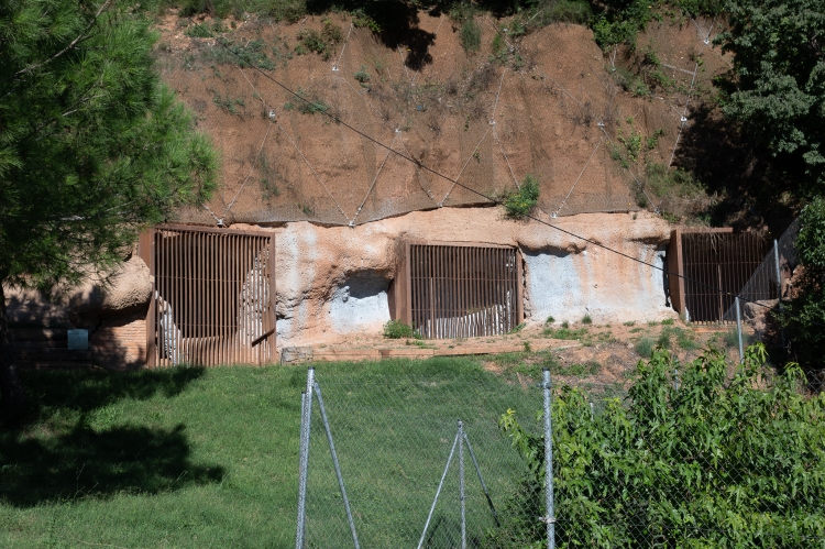 coves sant oleguer