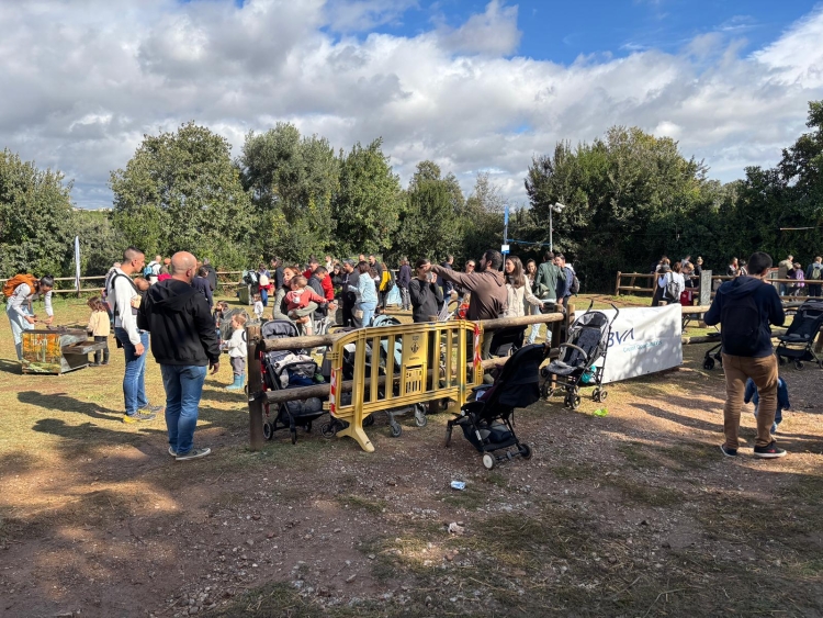 Festa de la Tardor