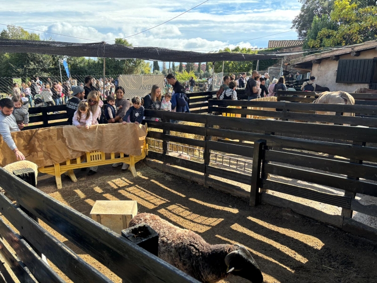 Festa de la Tardor