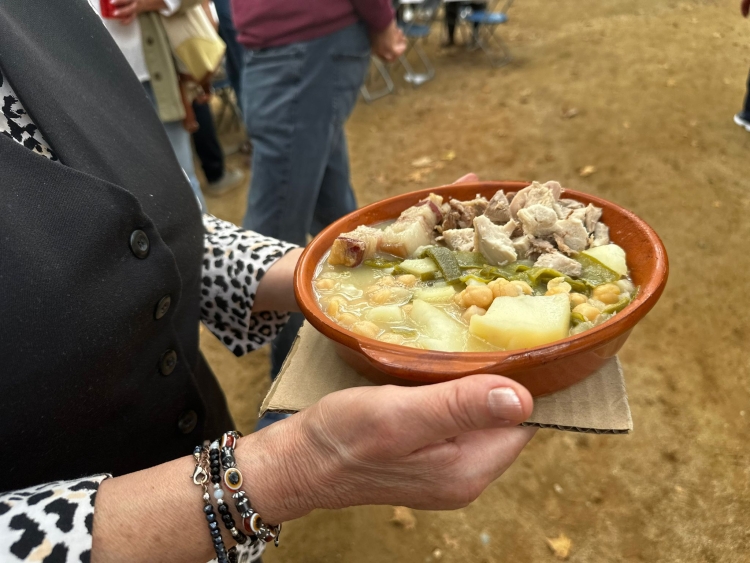 cocido