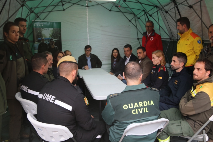 Dispositiu per coordinar la pesta porcina africana