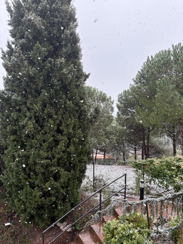 La neu comença a agafar a Rellinars | Rosa Perarnau