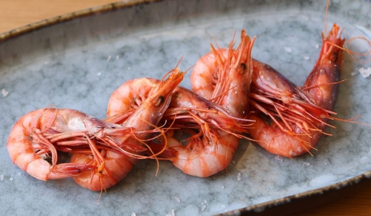 Gamba de Palamós de l'Intrèpid