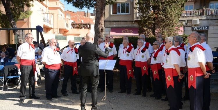 Coral Estrella Daurada