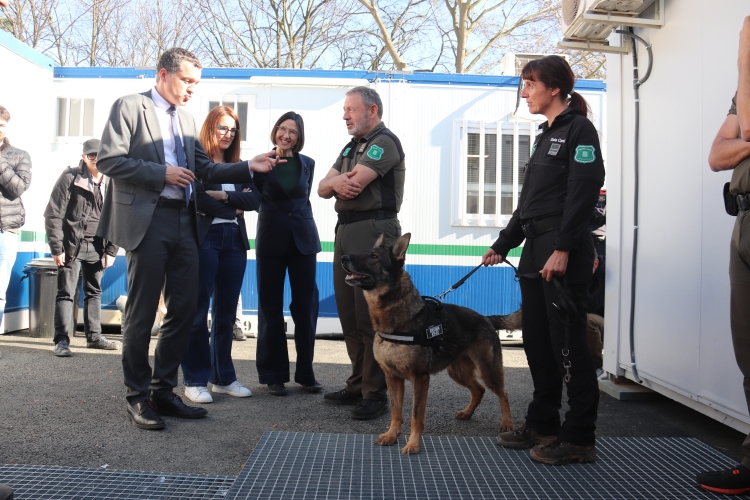 Operatiu contra la PPA a Santa Perpètua, fa unes setmanes